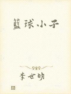 篮球小子