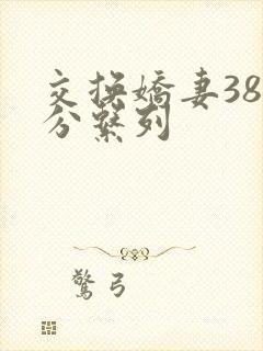 交换娇妻38部分系列