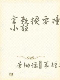 言教授要撞坏了小说