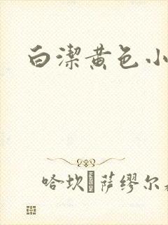 白洁黄色小说
