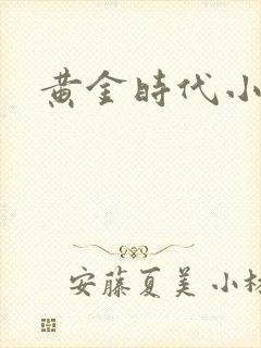 黄金时代小说