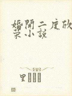 婚开二度欣欣向荣小说