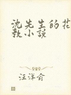 沈先生的花式调教小说