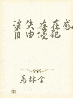 消失存在感消失自由侵犯