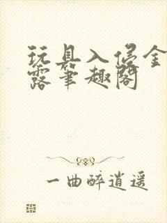 玩具入侵金银花露笔趣阁