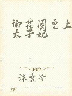 御花园皇上撞着太子妃