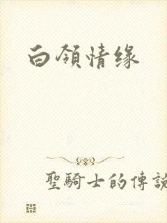 白领情缘