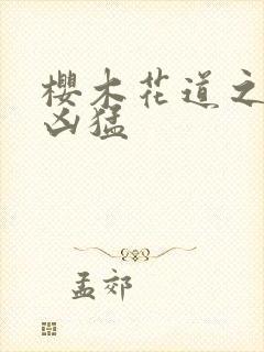 樱木花道之重生凶猛