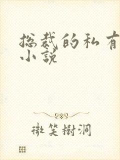 总裁的私有宝贝小说