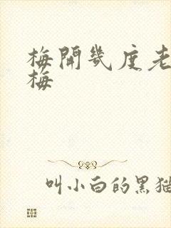 梅开几度老周张梅