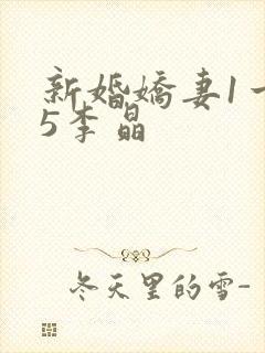 新婚娇妻1一25李晶