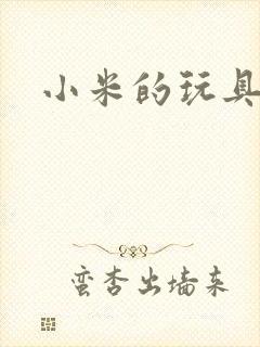 小米的玩具日记