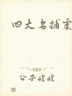 四大名捕震关东