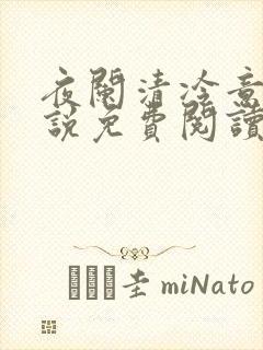 夜阑清冷意欢小说免费阅读