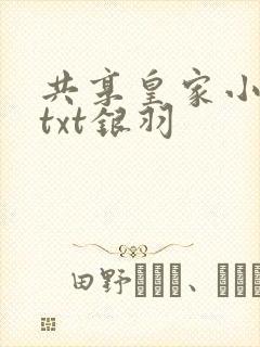 共享皇家小公主txt银羽