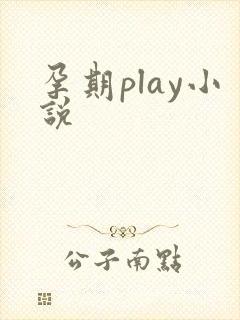 孕期play小说