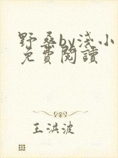 野桑by浅小说免费阅读