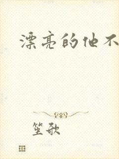 漂亮的他不说话