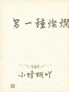 另一种灿烂生活