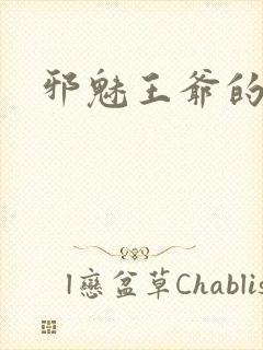 邪魅王爷的囚宠