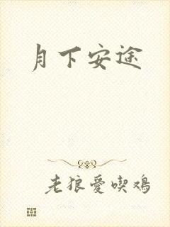 月下安途