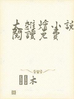 大杂烩小说全集阅读免费