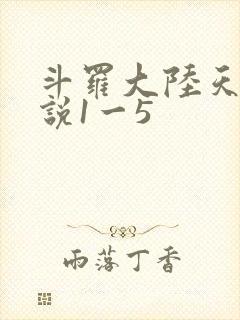 斗罗大陆天狂传说1一5
