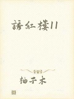 诱红楼11