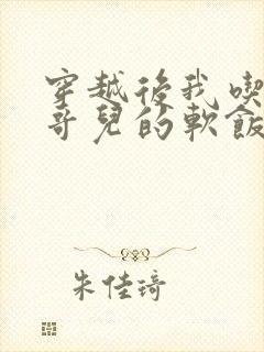 穿越后我吃到了哥儿的软饭炉山灰