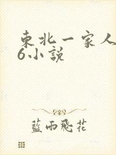 东北一家人1一6小说