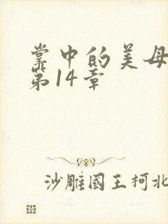 掌中的美母版主第14章