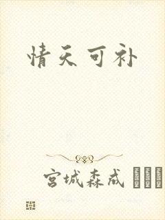 情天可补