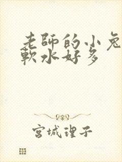 老师的小兔子好软水好多