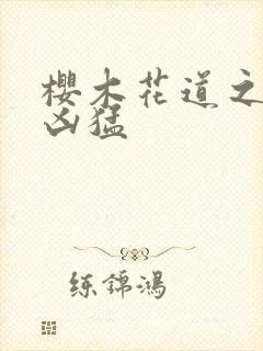 樱木花道之重生凶猛