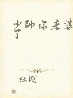 少帅你老婆又跑了