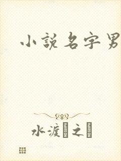 小说名字男生