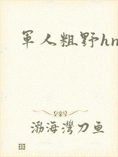 军人粗野hnp