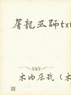 屠龙巫师txt