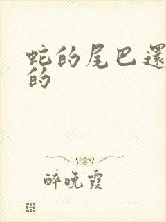 蛇的尾巴还在我的