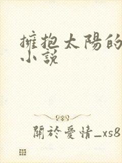 拥抱太阳的月亮小说