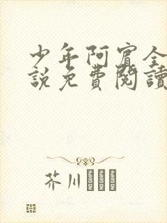 少年阿宾全文小说免费阅读笔趣阁