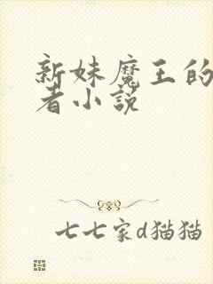 新妹魔王的契约者小说