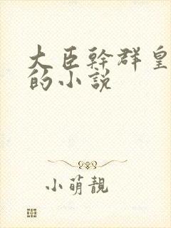 大臣干群皇太后的小说