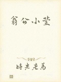 翁公小莹