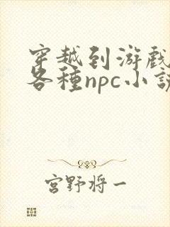 穿越到游戏里和各种npc小说