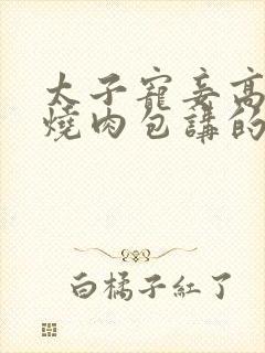 太子宠妾高肉红烧肉包讲的什么