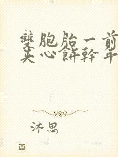 双胞胎一前一后夹心饼干年下