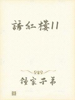 诱红楼11