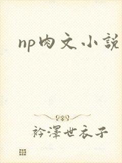 np肉文小说
