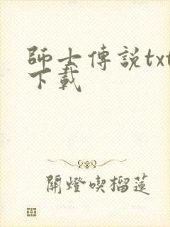 师士传说txt下载